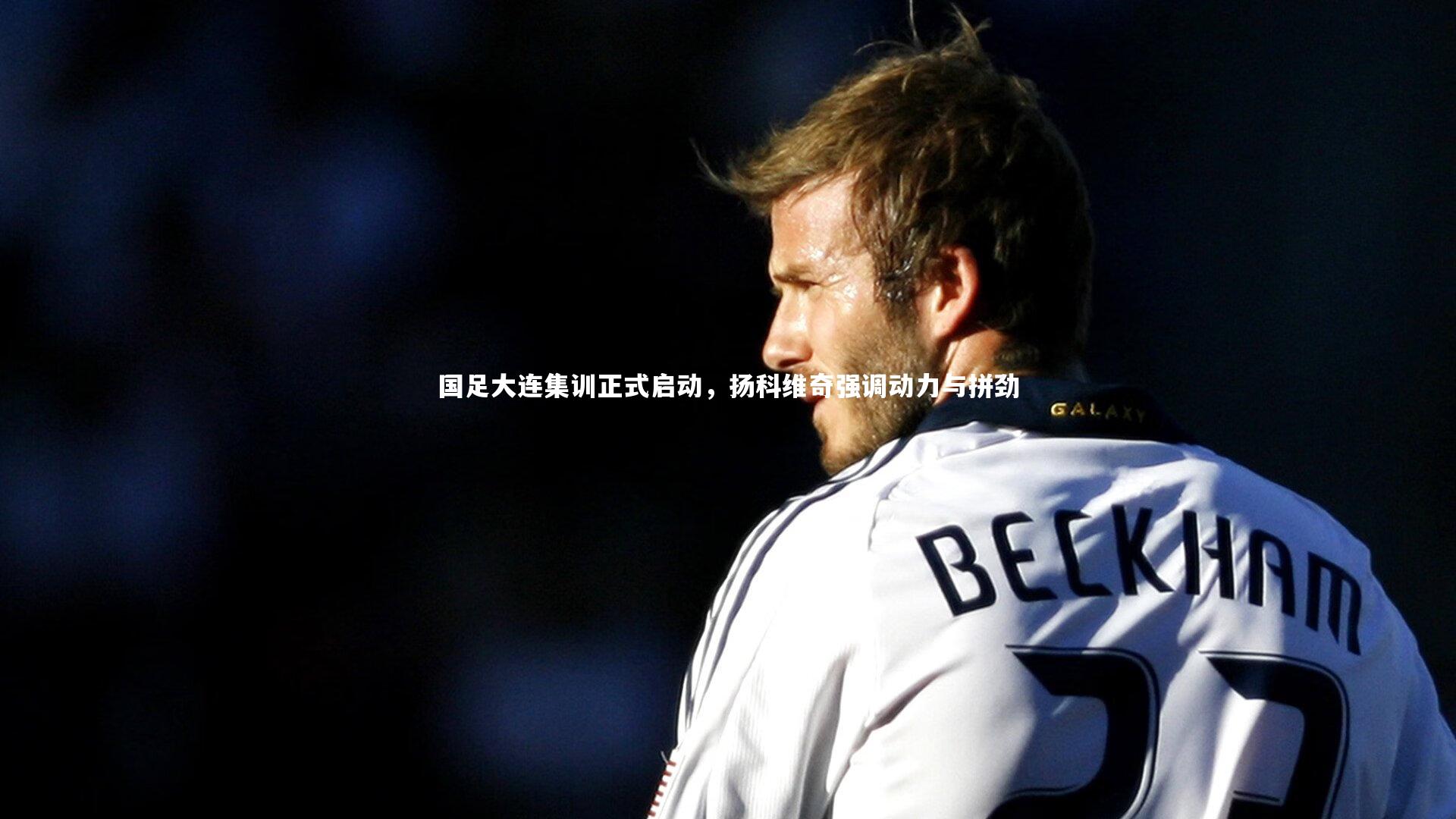 国足大连集训正式启动，扬科维奇强调动力与拼劲