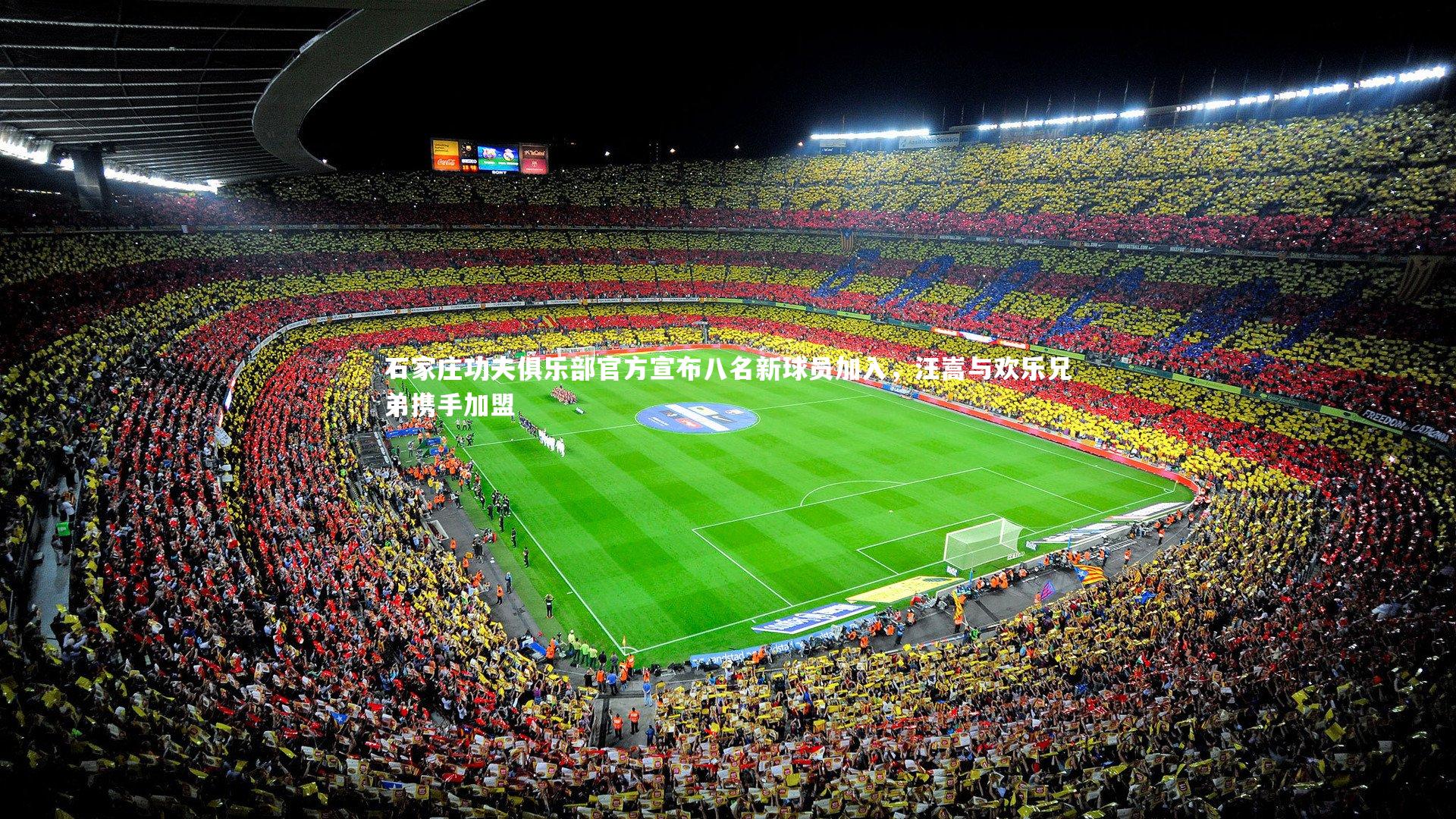 石家庄功夫俱乐部官方宣布八名新球员加入，汪嵩与欢乐兄弟携手加盟